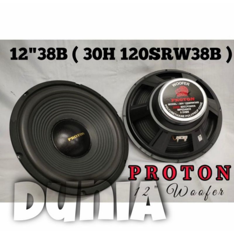 Speaker Proton 12 inch  Proton woofer