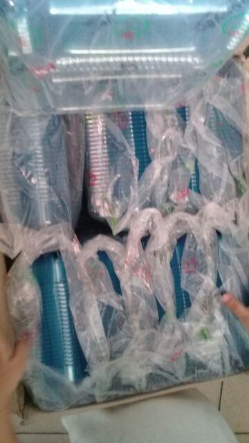 2000pcs Mika Gx3 Gosyen Tempat Risol Kue Makanan Kering Gojek Grosir