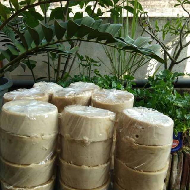 

GULA ASLI AIR NIRA SIWALAN KHAS PACIRAN LAMONGAN