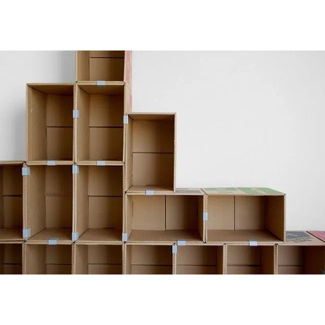 

PACKING TAMBAHAN (WAJIB CHECKOUT KARDUS INI UNTUK BUNGA KERING DAN BARANG MUDAH PATAH/PECAH))