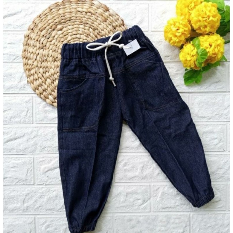 Celana panjang joger levis