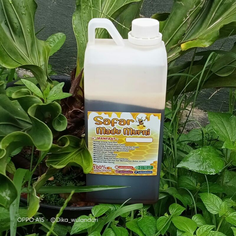 

madu hutan 1kg