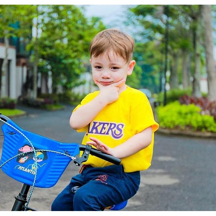 Baju Anak / Kaos Distro DTF Anak Laki Laki dan Perempuan / LAKERS / Unisex / Motif / KIDS