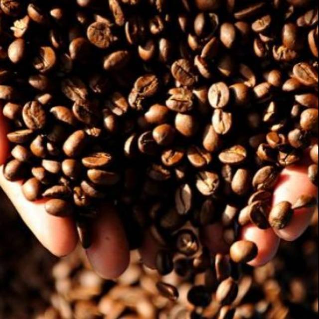 

Coffe gayo tkengon