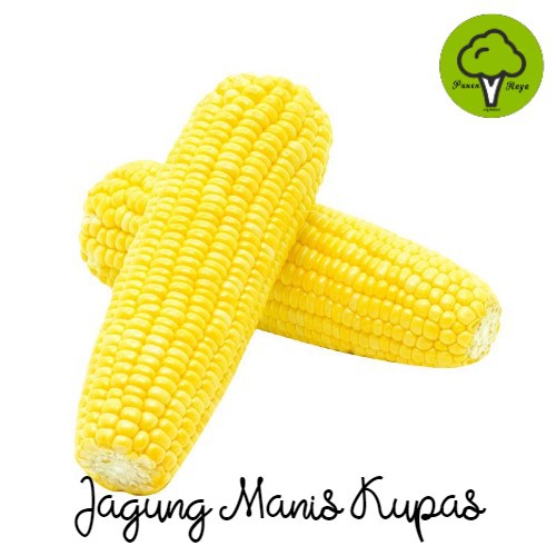 

SAYURAN / JAGUNG MANIS KUPAS [1KG]