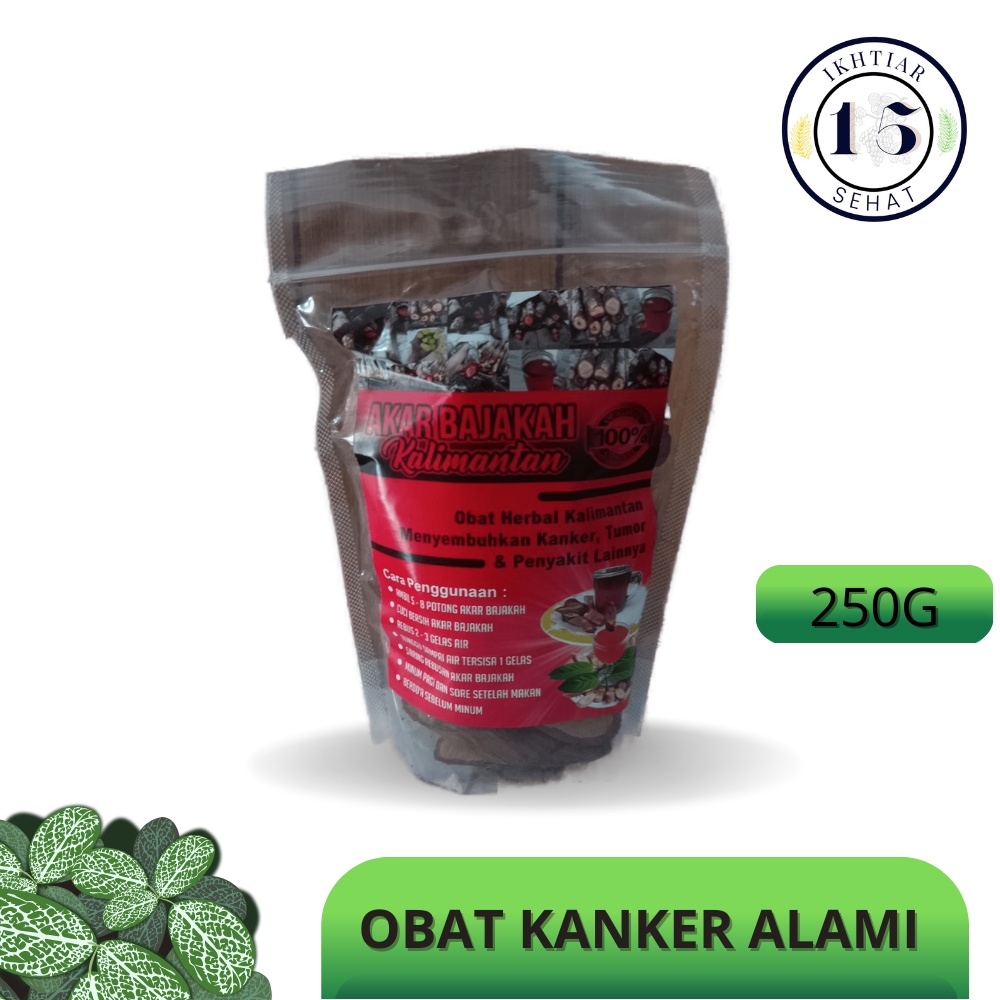 AKAR BAJAKAH 250 G AKAR KAYU BAJAKAH