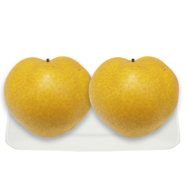 

PEAR SINGO RRC 680 GR
