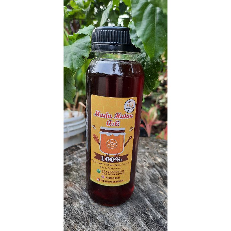 

madu hutan asli dari pulau sumatra