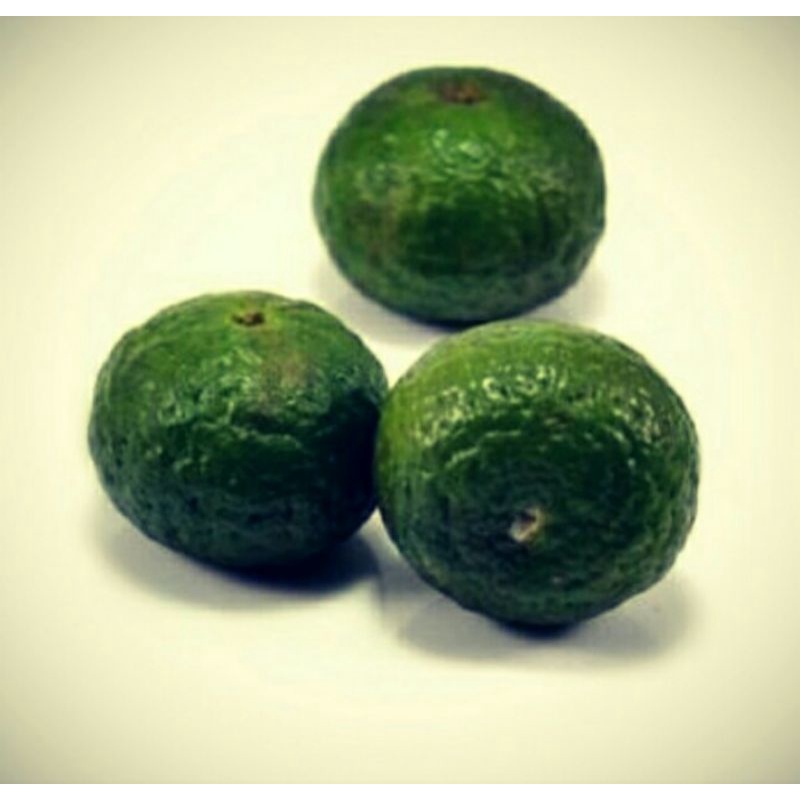 

JERUK LIMO / JERUK LIMAU 100 GRAM