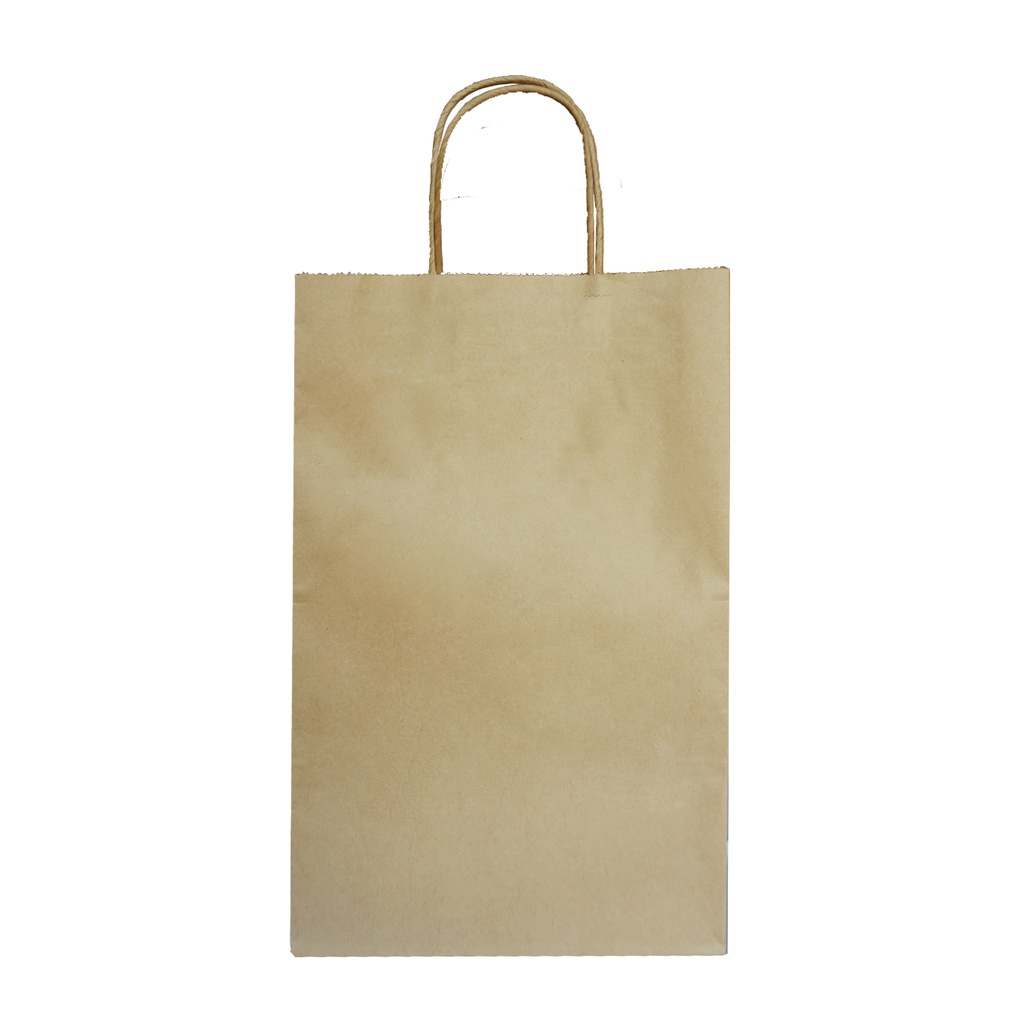 Paper Bag Tas Belanja Kantong Kertas (SBG9-20X16.5X30)