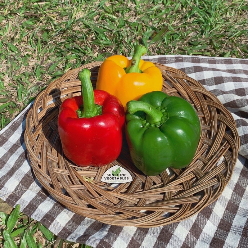 

PAPRIKA / CABAI PAPRIKA [500gr] by Sunshine Vegetables