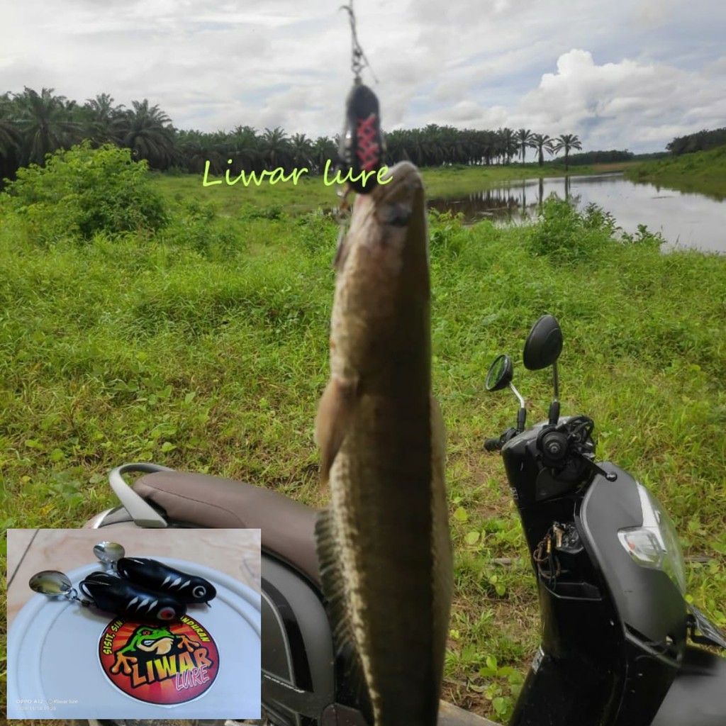 Soft Frog Lure Hand Made 4cm Killer Umpan Mancing Casting Gabus Toman Haruan Snake Head Terbaru