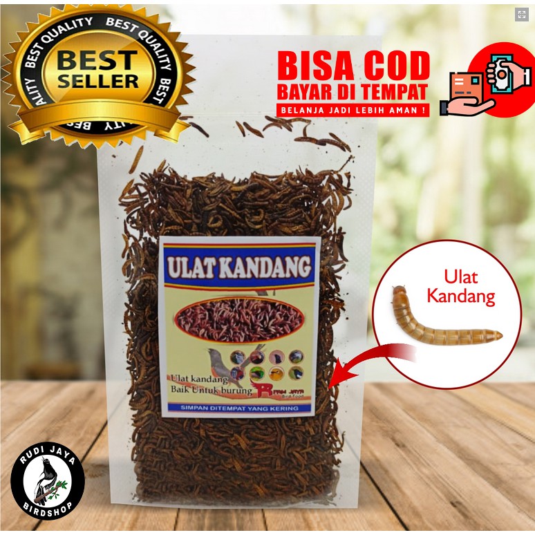 ULAT KANDANG KERING RFAM JAYA EF EKSTRA FOODING PAKAN BURUNG MURAI KACER ANIS CUCAK JALAK CIBLEK IJO