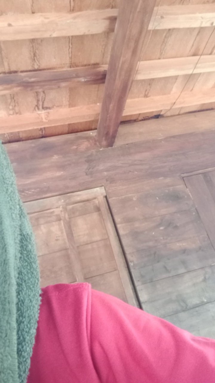 [new Arival Termurah] Couple Batik Pinguin Denada Brukat Halus Super Maura