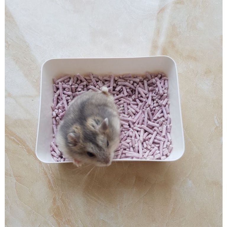 Kotak Tempat Mandi/Makan Hamster
