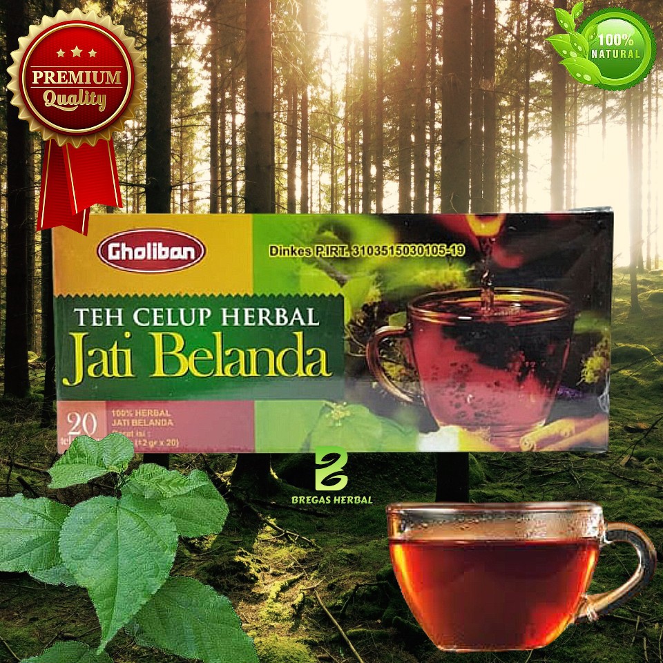 Jual Teh Celup Daun Jati Belanda Gholiban Indonesia Shopee Indonesia