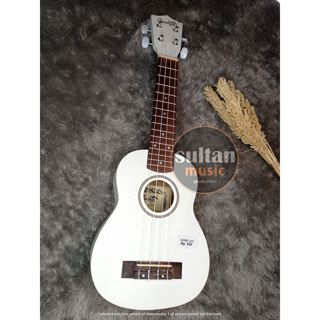 ORIGINAL UKULELE COWBOY