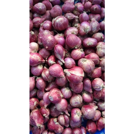

Bawang Merah Lokal 500 gram
