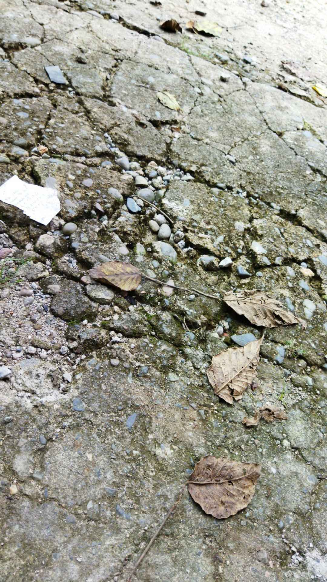 M231 Kemeja Pria Batik Panjang Hitam 1492a