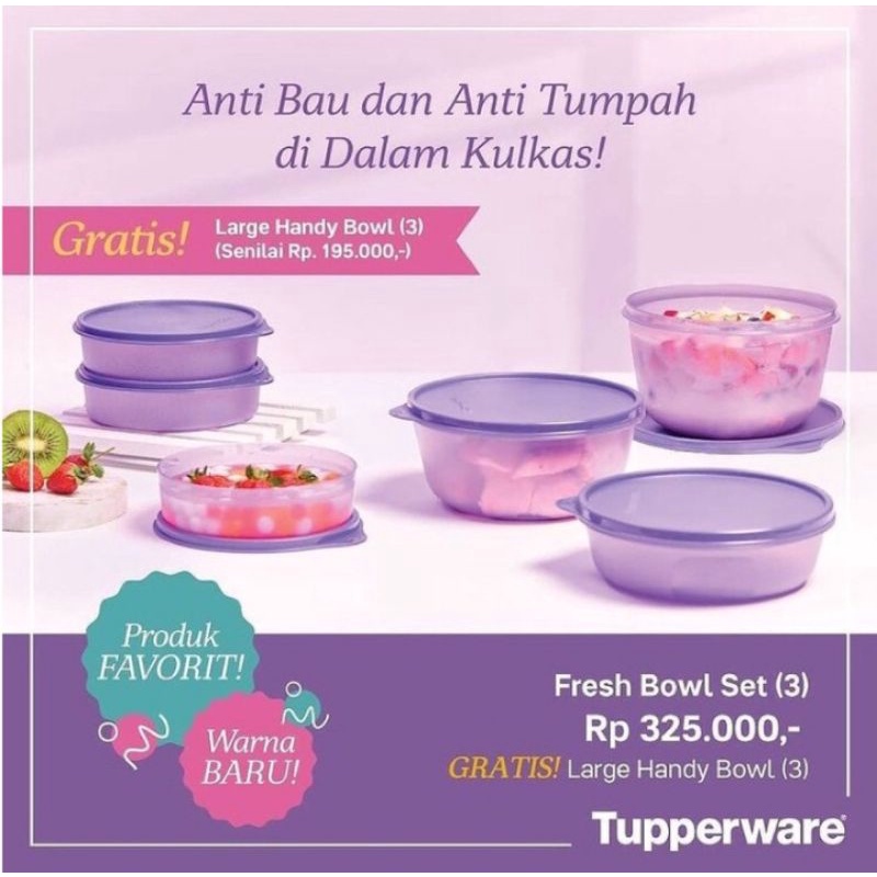 Fresh bowl with gift tupperware / Bowl set tupperware