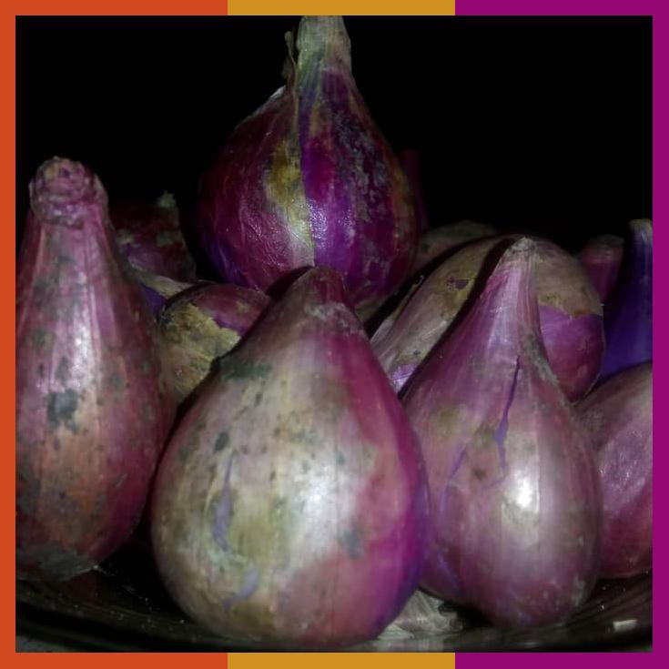 

Bawang Merah Super Brebes 1Kg