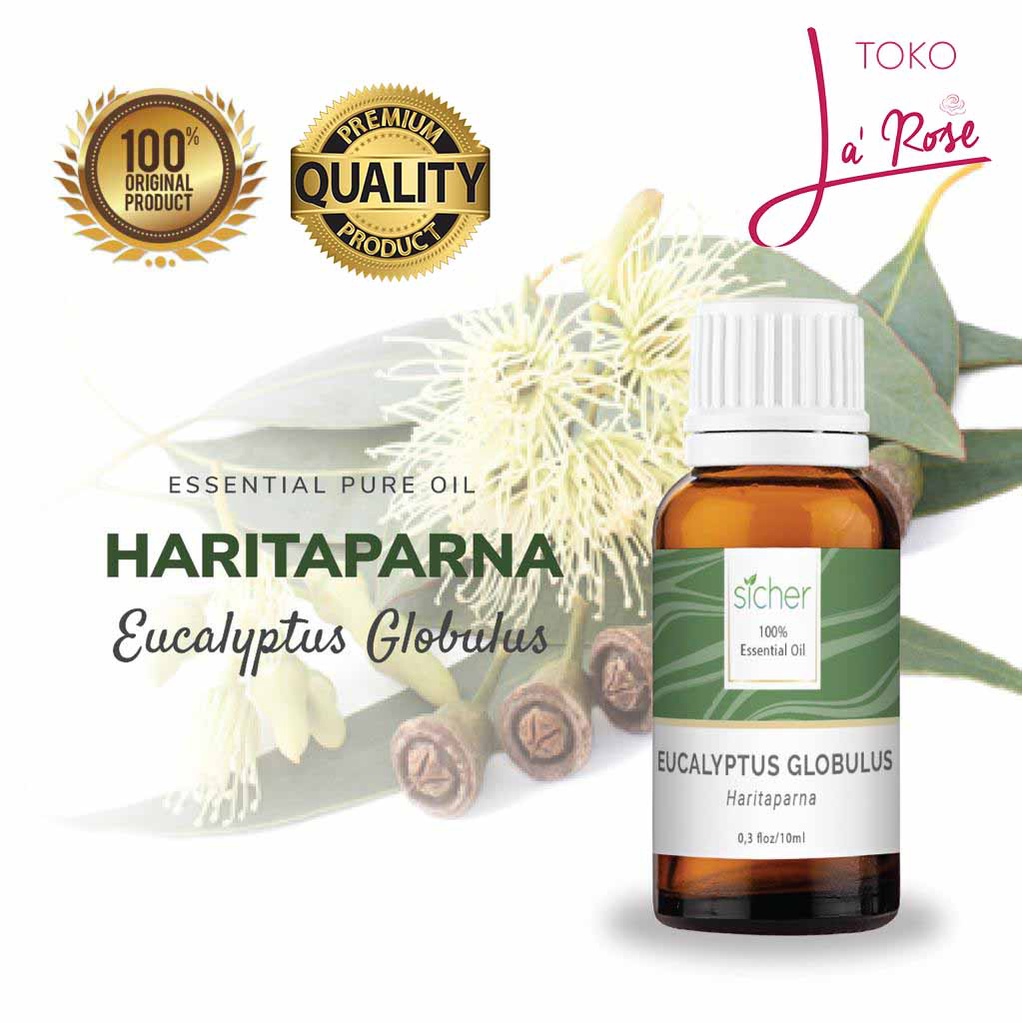 Eucalyptus Globulus Aromatherapy Sicher Essential Oil Pewangi Ruangan Aromaterapi Diffuser Humidifier 10ml