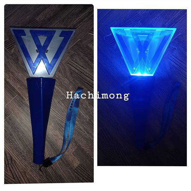 Winner Official Japan Lightstick V.2