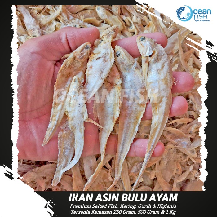 

Ikan Asin Bulu Ayam - Ikan Asin Tanpa Pengawet - Bulu Ayam Ikan Asin - Ikan Asin Higienis