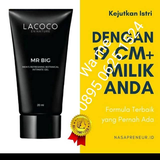 Lacoco Mr Big Original