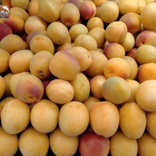 

Apricot Import Australia pack / 350g