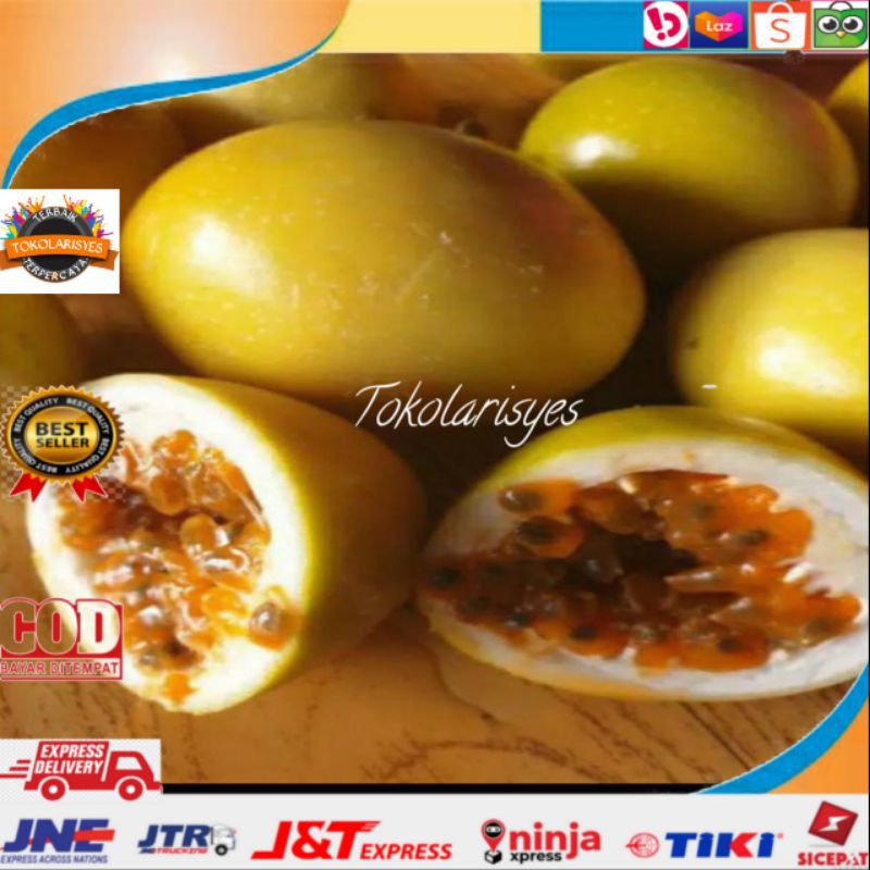 

Buah Markisa kuning
