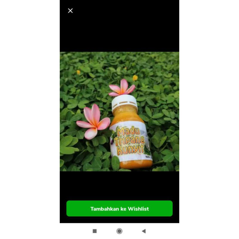 madu tripang kunyit#madu kunyit tripang#madu untuk asam lambung kiiara