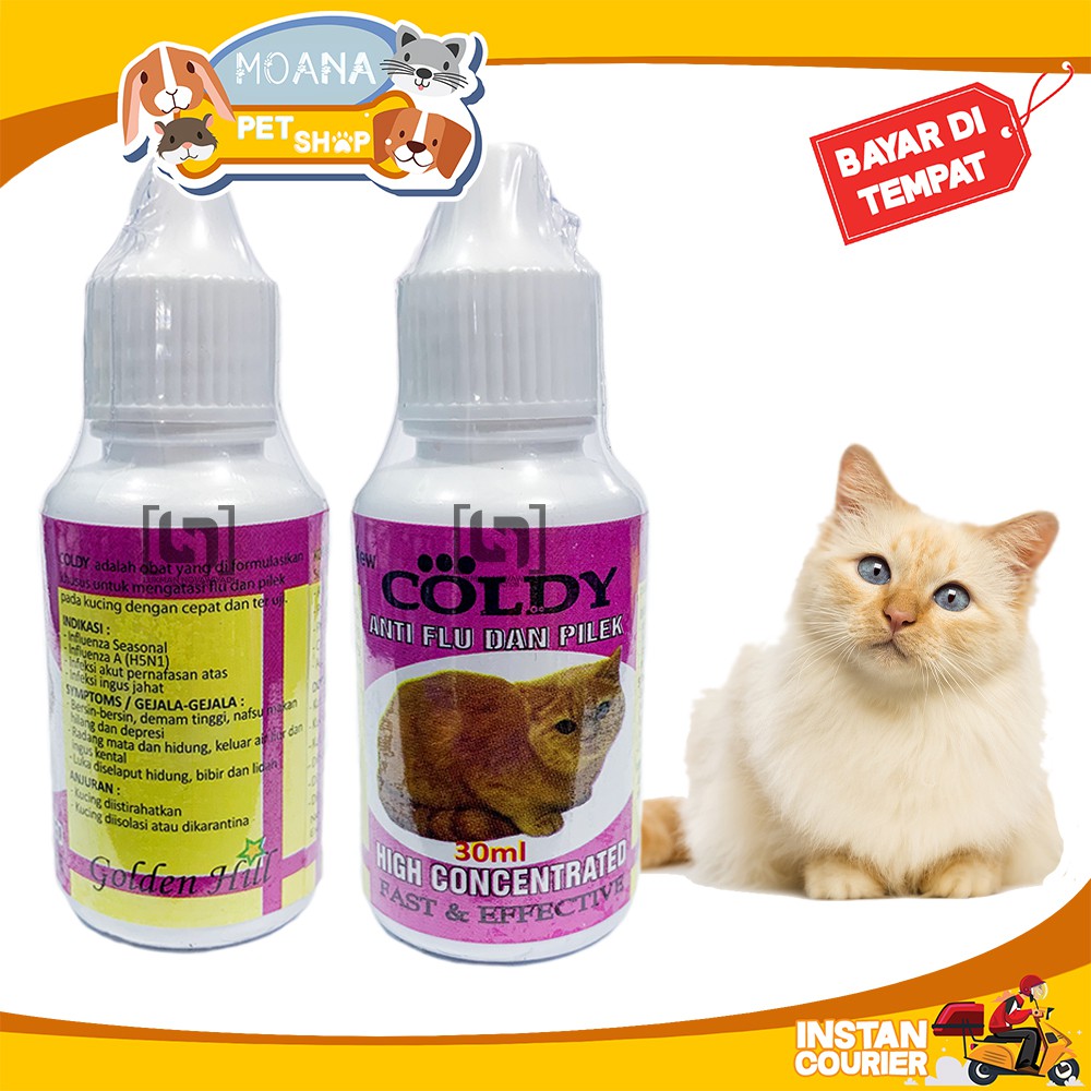 OBAT FLU KUCING PILEK BERSIN BERSIN COLDY