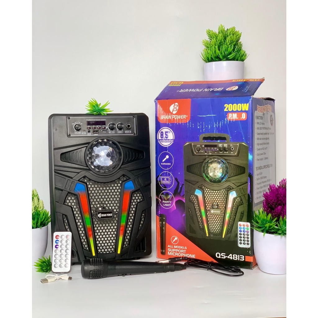 SPEAKER BRAIN POWER 4813 BLUETOOTH WIRELESS