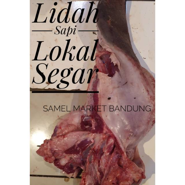 

Lidah Sapi Segar 1.5 kg
