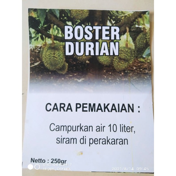 Boster Durian