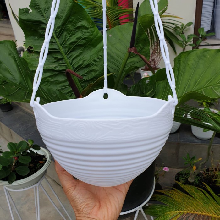 Pot bunga tanaman gantung gentong putih Lovenia 8852