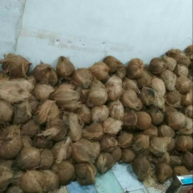 

Santan kelapa tua murni