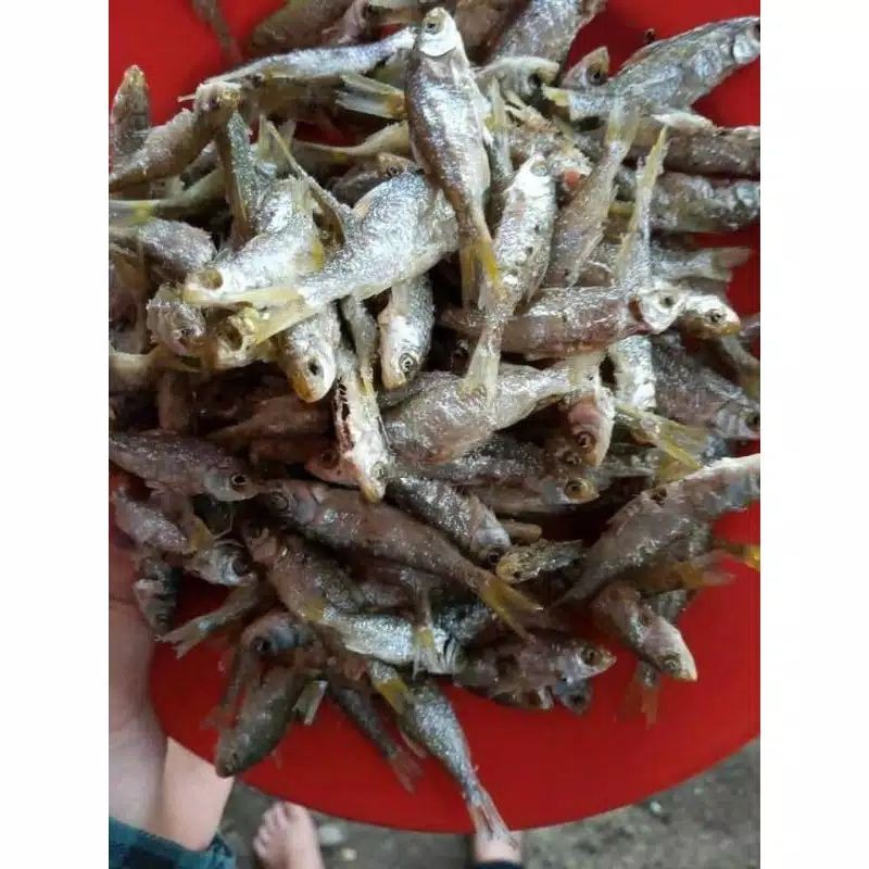 

Ikan bilih Asli danau Singkarak Solok