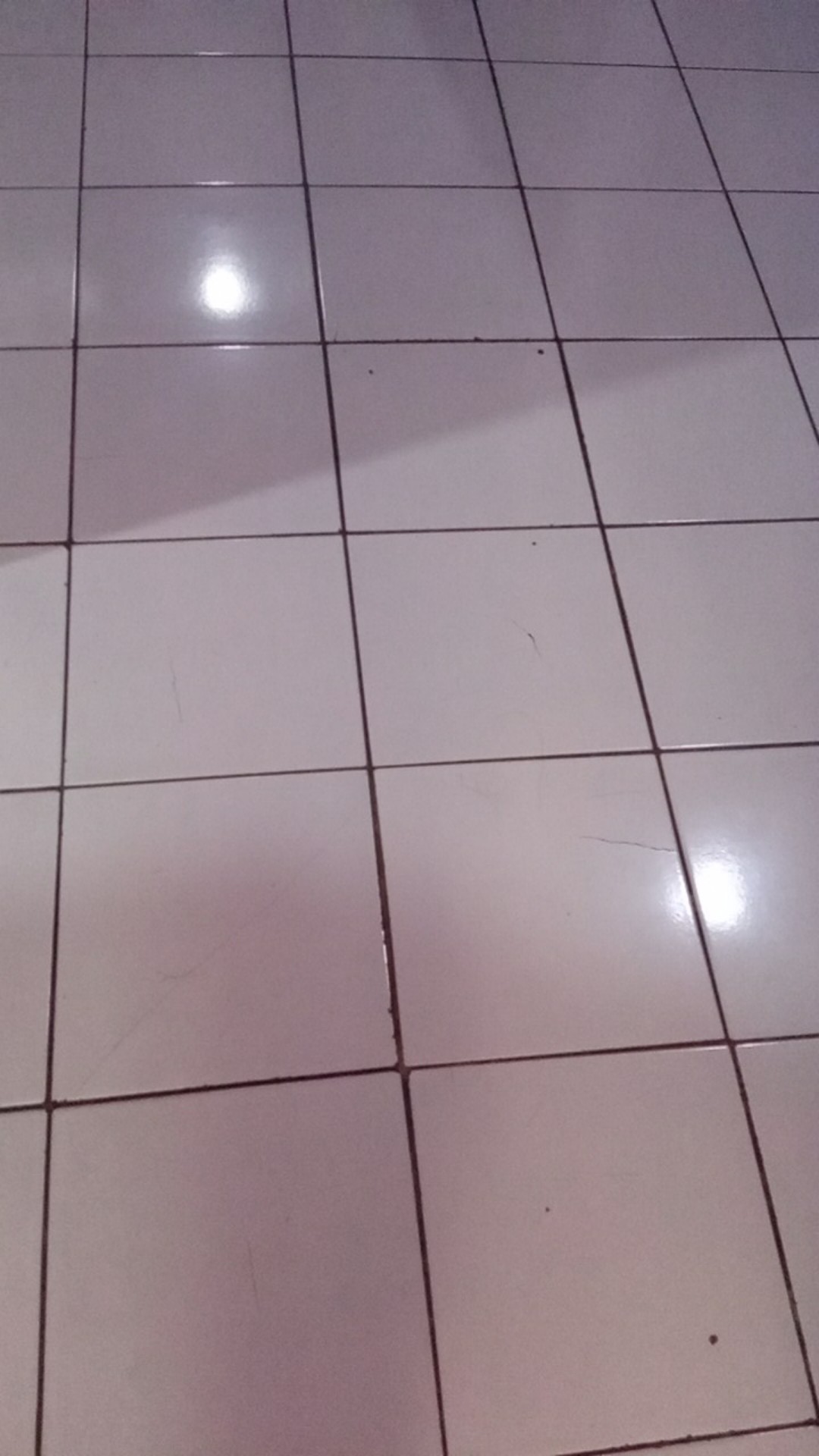 Thinwall Dm 300 Ml Round / Tempat Makan Plastik Bulat 300 Ml