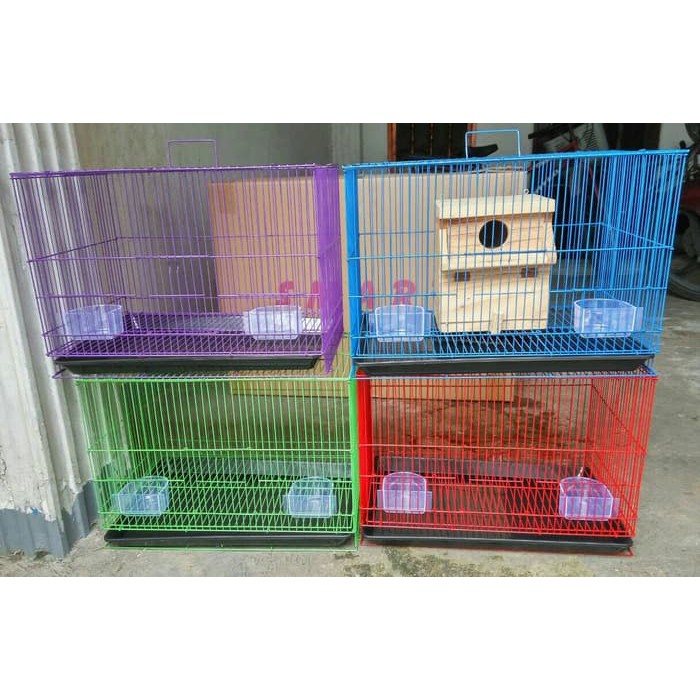SMART sangkar ternak lovebird uk 50 cm