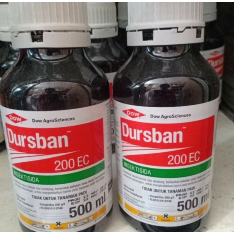 Insektisida Dursban 200EC 500 MiliObat Pembasmi Hama Tanaman