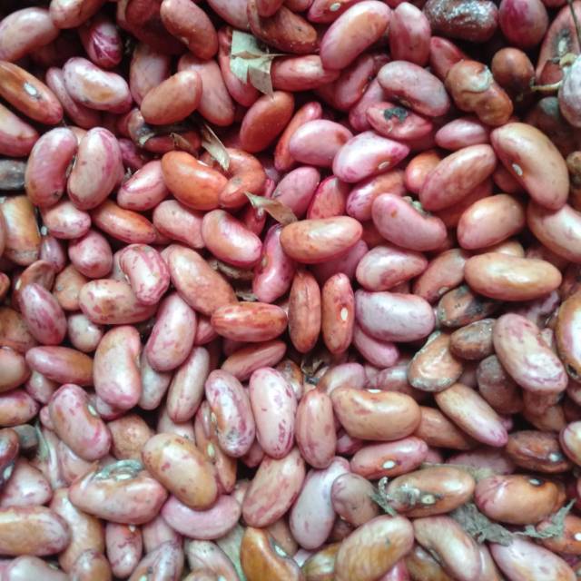 

Red Bean Ucet Merah minim order 2 kg @