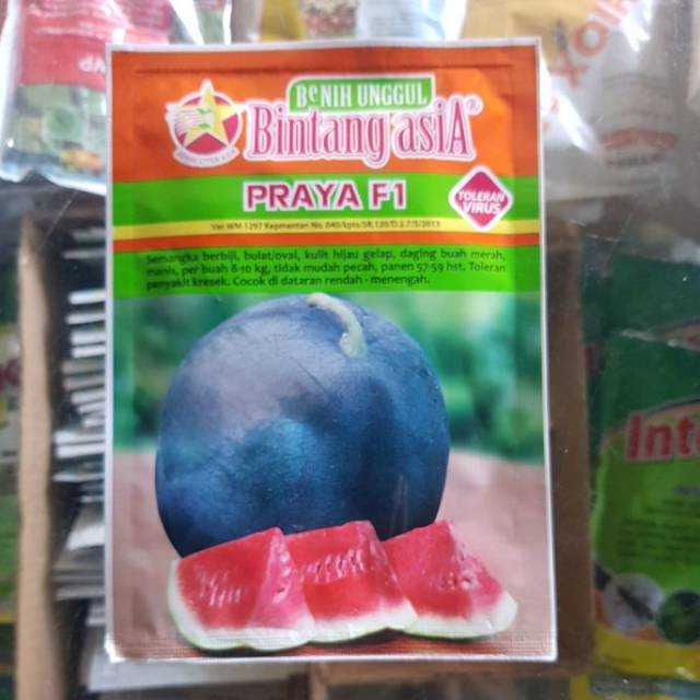 Semangka PRAYA F1 20GR benih bibit Bintang asia