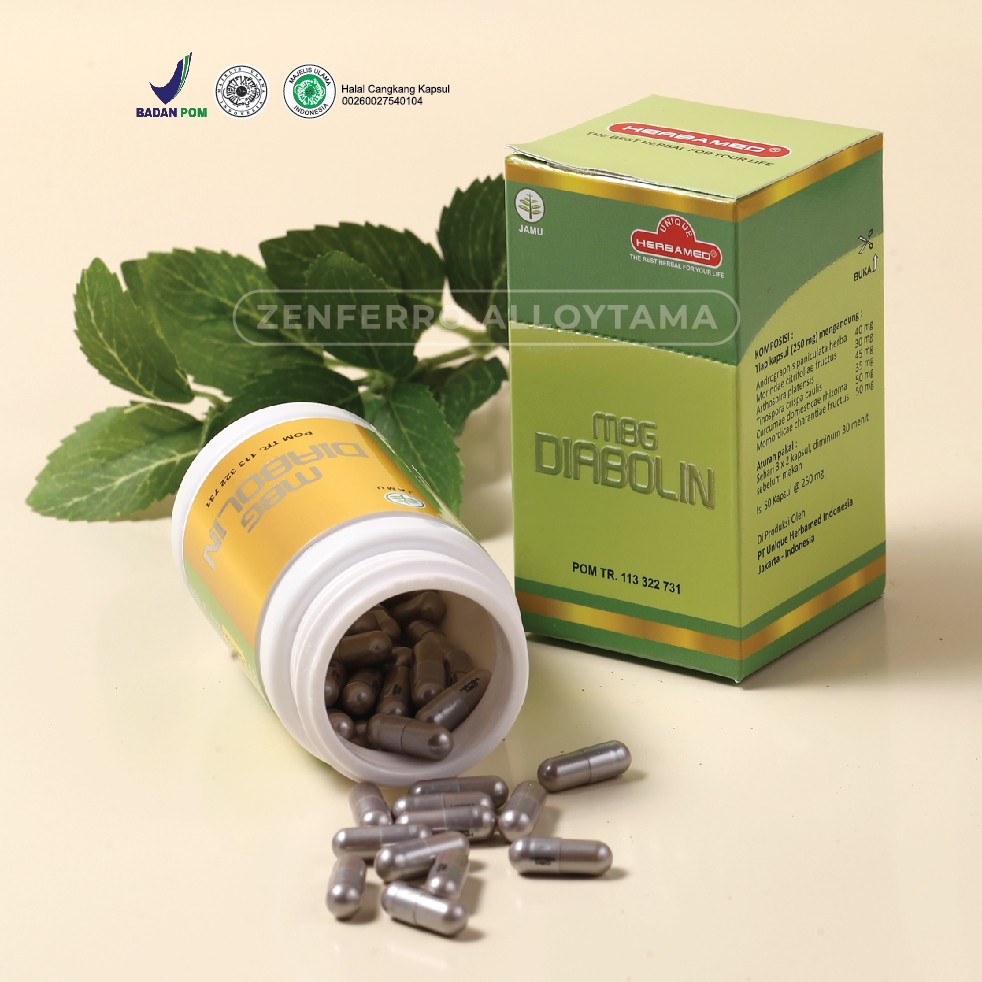 

DIABOLIN isi 50 Kapsul - Membantu Membersihkan Pankreas dan Diabetes