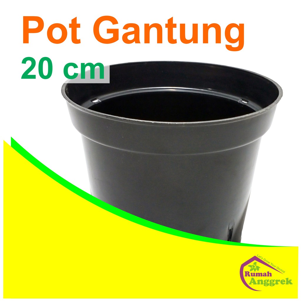 Pot Anggrek Gantung Bulat 20 cm besar dewasa cattleya dendrobium