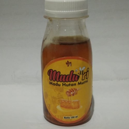 

Madu Hutan Liar Murni 100%