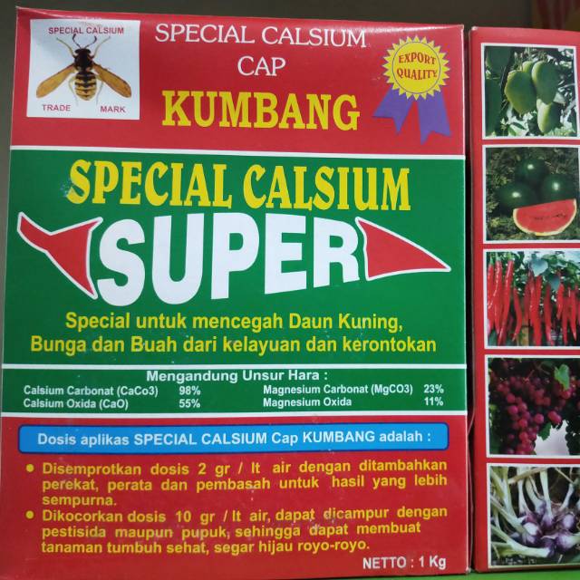 Calsium super cap kumbang