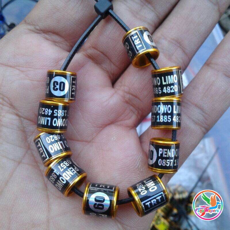 RING MERPATI REQUEST NAMA SENDIRI  RING MERPATI HITAM GOLD 1CM 3D