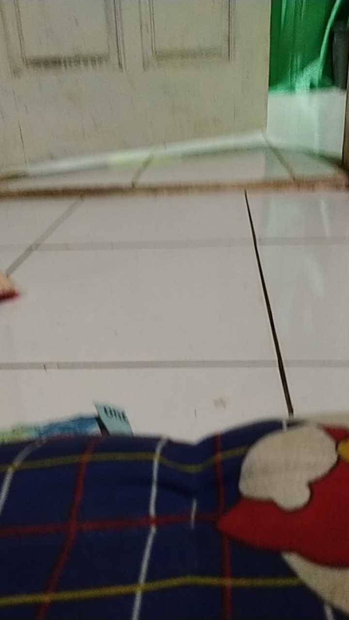 Pembersih Sisik Ikan Alat Kerok Sisik Ikan Pengupas Sisik Ikan